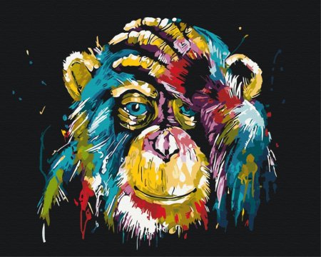 BRUSHME spalvinimo pagal skaičius rinkinys Colorful chimpanzee, BS25714 BS25714