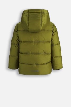 COCCODRILLO striukė OUTERWEAR BOY KIDS, žalia, cm