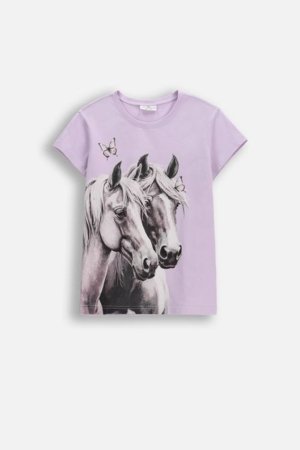 COCCODRILLO marškinėliai trumpomis rankovėmis, violetiniai, cm 