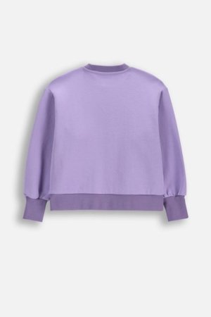 COCCODRILLO džemperis, violetinis, dydis 