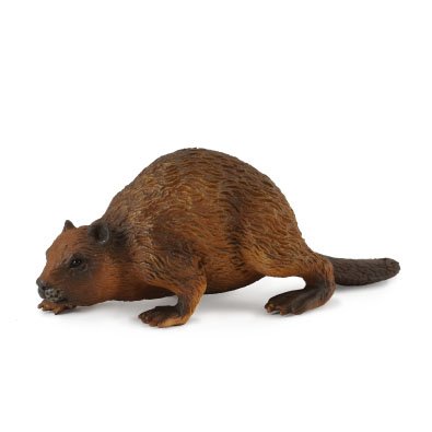 COLLECTA Bebras (M) 88382 