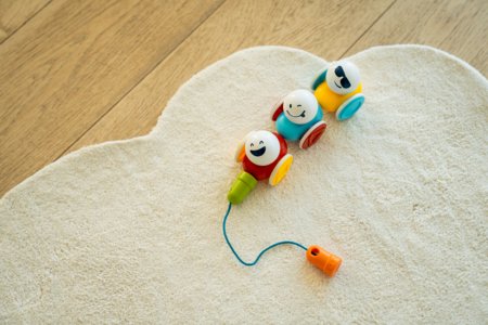 SMART MAX konstruktorius My First Wobbly Cars, SMX#233