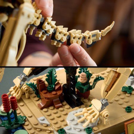 77985 LEGO® Jurassic World Dinozaurų fosilijos: triceratopsas 