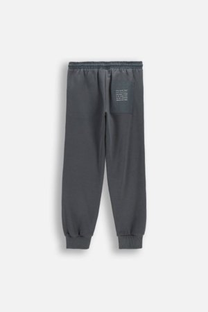 COCCODRILLO sportinės kelnės, graphite, WC6120104NBJ-020-146, 146 cm 