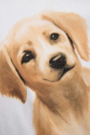 COCCODRILLO marškinėliai trumpomis rankovėmis, balti, cm 