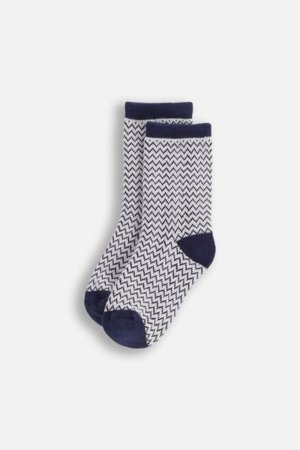 COCCODRILLO kojinės SOCKS BOY, spalvotos, 