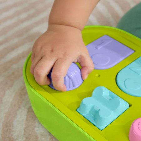 FISHER-PRICE iššokančių gyvūnėlių žaidimas, JDL66 