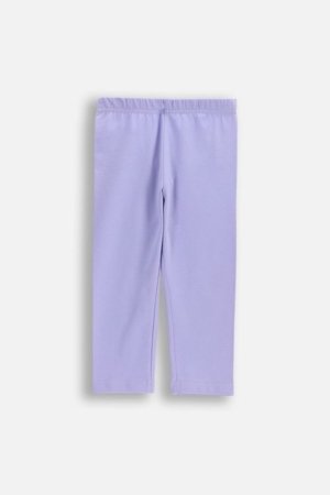 COCCODRILLO tamprės, violetinės, dydis 