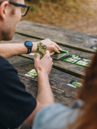 BRAIN GAMES kortų žaidimas Forest Shuffle Miške LT, BRG#FOSHLT 