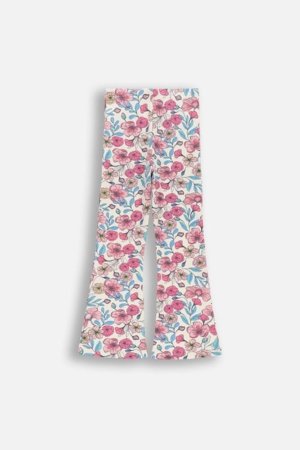 COCCODRILLO tamprės, spalvotos, 