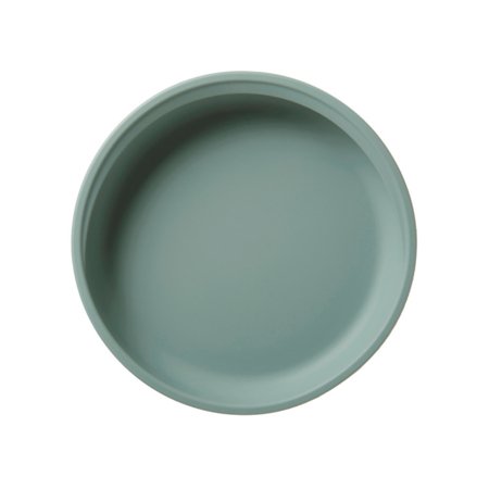 TOMMEE TIPPEE silikoninė neslystanti lėkštė, 448750 