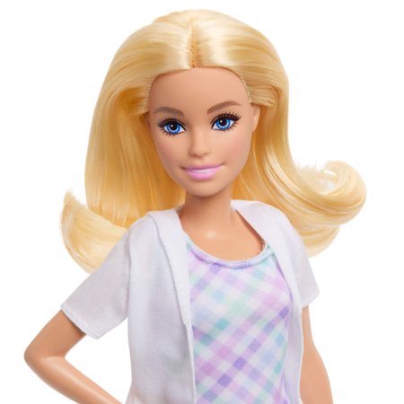 BARBIE lėlė odontologė, JMK14 
