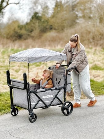 BABYTROLD sportinis vežimėlis FUN, Grey, 13-04G 
