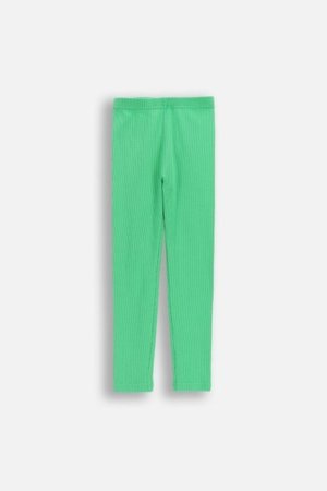 COCCODRILLO tamprės, žalios, WC6122101GGK-011-116, 116 dydis 