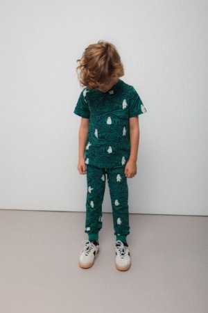 COCCODRILLO tamprės, spalvotos, cm 