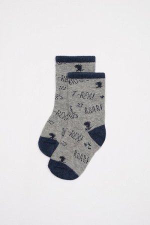 COCCODRILLO kojinės SOCKS BOY, pilkos, ZC1382208SOB-019 ZC1382208SOB-019-026