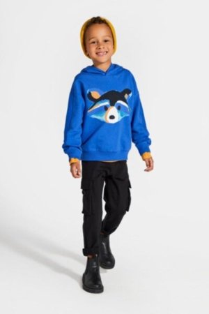 COCCODRILLO džemperis FOREST FRIENDS KIDS, cobalt, ZC4132301FBK-032-122, 122 cm 