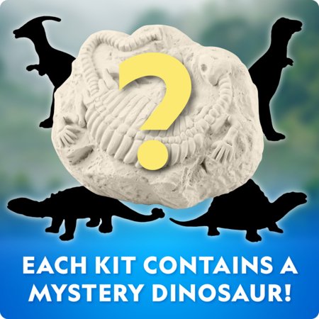 NATIONAL GEOGRAPHIC rinkinys Dinosaur Excavation, CRNGDINOPDQINT 