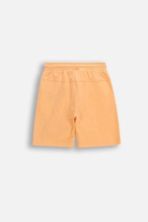 COCCODRILLO šortai, kreminiai, dydis 