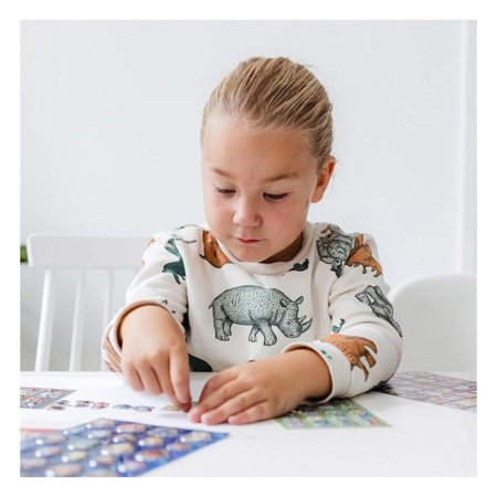 TOTUM PAW PATROL lipdukų rinkinys, 720985 