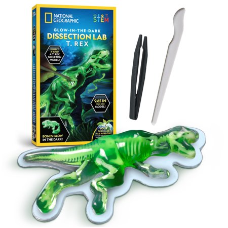 NATIONAL GEOGRAPHIC rinkinys Glow-in-the-Dark T. Rex Dissection Lab, CRNGTREXLAB6L 