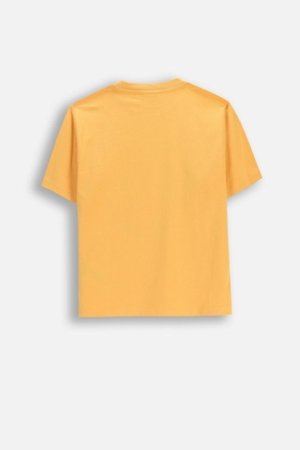 COCCODRILLO marškinėliai trumpomis rankovėmis, oranžiniai, WC6143205MBJ-006-140, 140 cm 