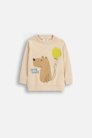 COCCODRILLO marškinėliai, kreminiai, cm 