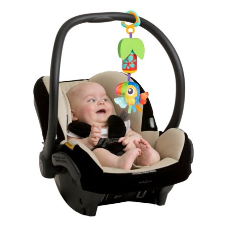 PLAYGRO pakabinamas žaislas Cheeky Chime Tamika Toucan, 0189406 