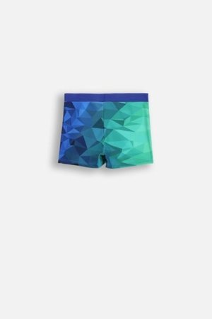 LEMON maudymosi kostiumėlis SWIMWEAR BOY, spalvotas, WL5376202SWB-022-164, 164 