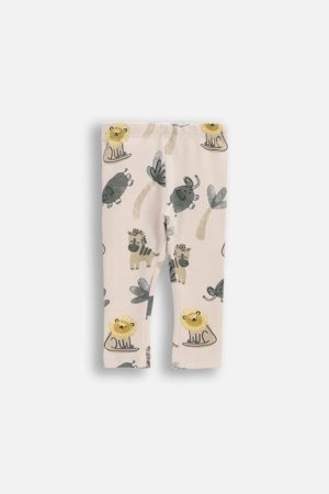 COCCODRILLO tamprės, kreminės, WC6122102IBN-003-068, 68 dydis 