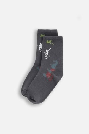 COCCODRILLO kojinės SOCKS BOY, spalvotos, cm 