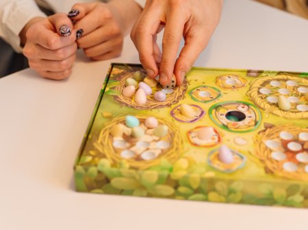 BRAIN GAMES stalo žaidimas Tweet-Tweet LT/LV/EE, BRG#TWEET 