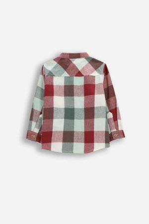 COCCODRILLO marškiniai, žali, cm 