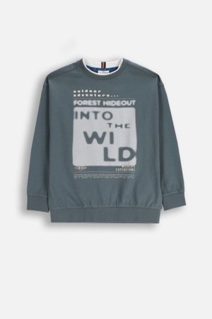 COCCODRILLO marškinėliai, pilki, cm 