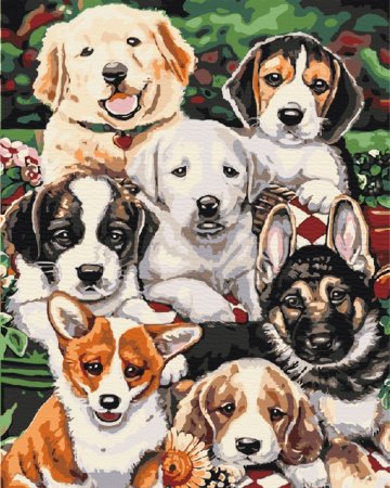BRUSHME spalvinimo pagal skaičius rinkinys Puppies, BS5544 BS5544