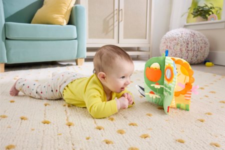 FISHER-PRICE sensorinė knygelė, JKP53 