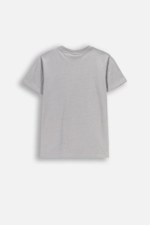 COCCODRILLO marškinėliai trumpomis rankovėmis, pilki, cm 