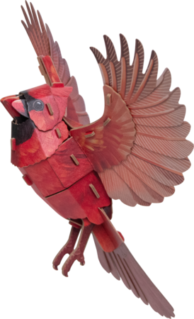 MAKEBUG 3D popierinė delionė American Cardinal, MB-D-0055 