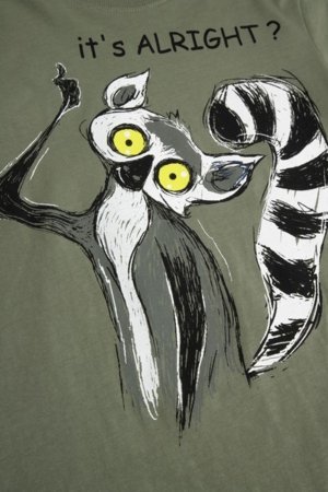 COCCODRILLO marškinėliai trumpomis rankovėmis, žali, cm 