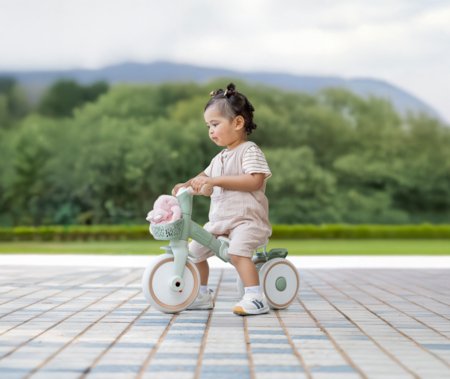 GLOBBER mokomasis triratukas Learning Trike, 2in1 Plus, pistacinis, 737-109 