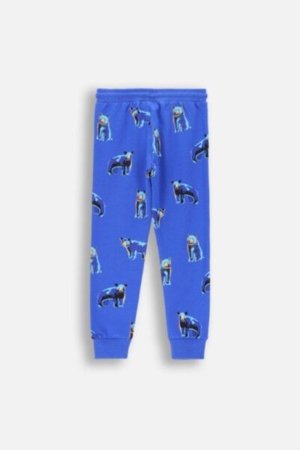 COCCODRILLO tamprės FOREST FRIENDS KIDS, cobalt, ZC4122701FBK-032-122, 122 cm 