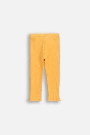 COCCODRILLO tamprės MAXITROPIC GIRL NEWBORN, oranžinės, WC5122103MGN-006-086, 86 cm 
