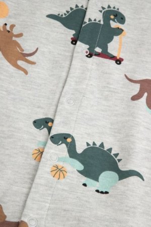 COCCODRILLO šliaužtinukas ilgomis rankovėmis, pilkas, dydis 