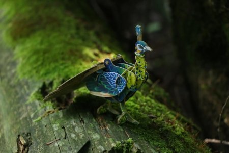 MAKEBUG 3D popierinė delionė green peafowl, MB-D-0016 