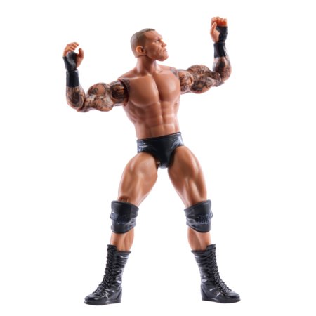 WWE Top Picks imtynininko figūrėlė, 15 cm, asort., GFT58 