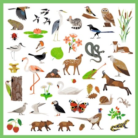DJECO lipdukų rinkinys Fauna (160 det.), DJ09285 