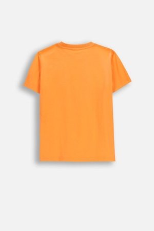 COCCODRILLO marškinėliai trumpomis rankovėmis, oranžiniai, WC6143203RBJ-006-134, 134 cm 
