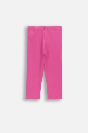 COCCODRILLO tamprės, rožinės, WC6122301SGK-007-098, 98 cm 