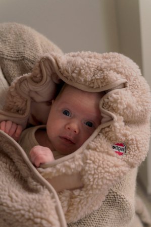 LODGER žieminis vokelis į vežimėlį TEDDY, 0-9 mėn., Beige, WPT 630 