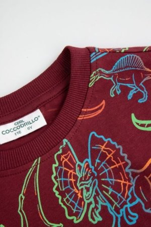COCCODRILLO marškinėliai EVERYDAY BOY A, spalvoti, ZC5143208VBA-022-092, 92 cm 